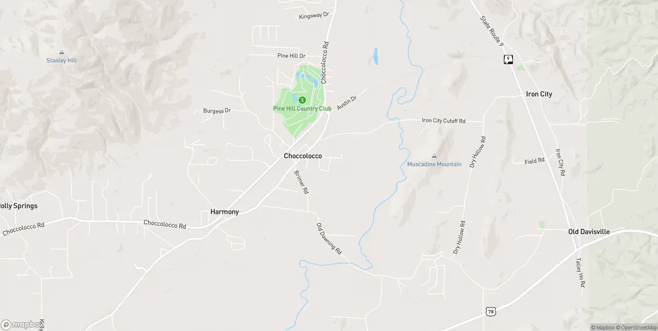 Internet in Choccolocco