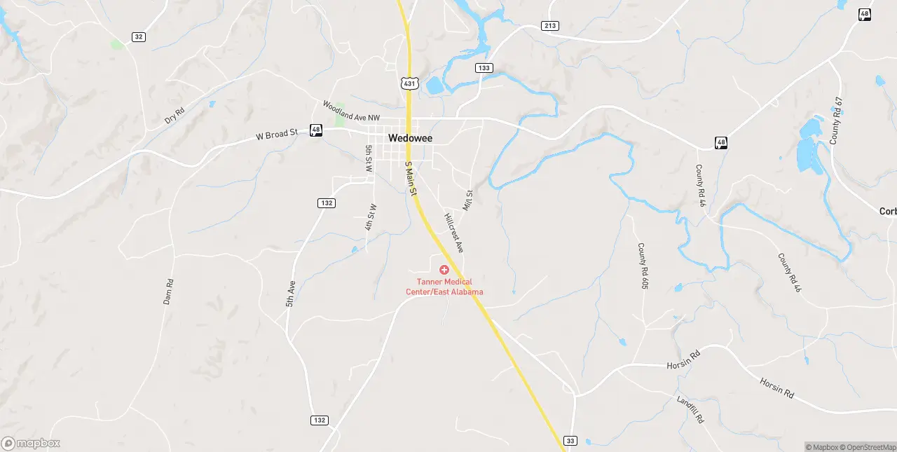 Internet in Wedowee