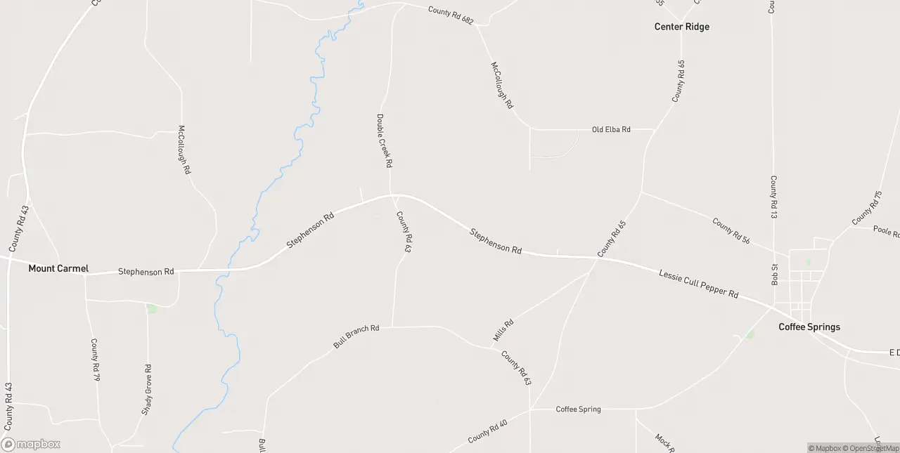 Internet in Coffee Springs
