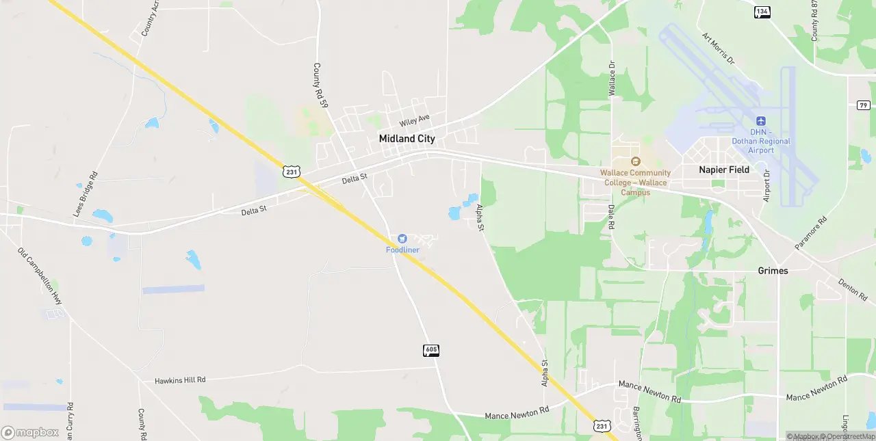 Internet in Midland City