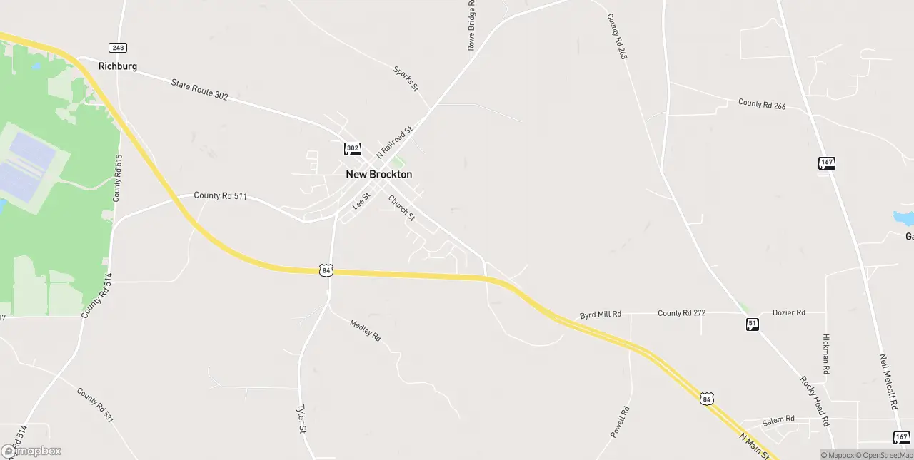 Internet in New Brockton