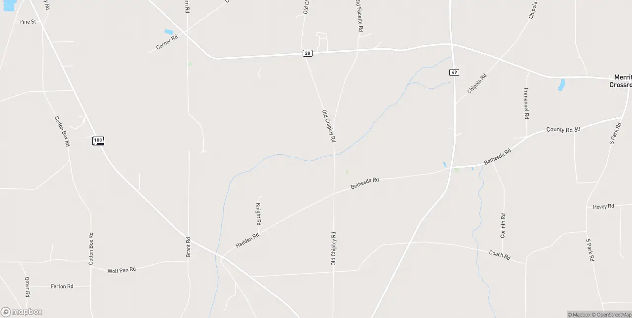 Internet in Slocomb