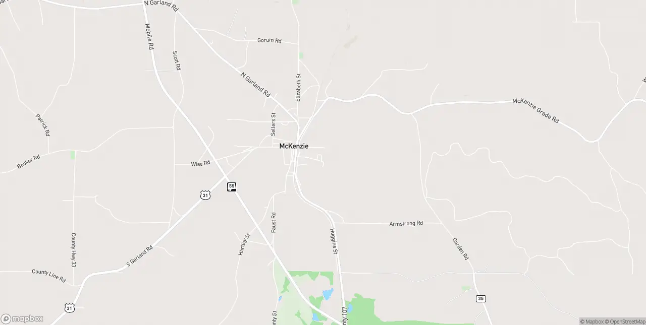 Internet in Mckenzie