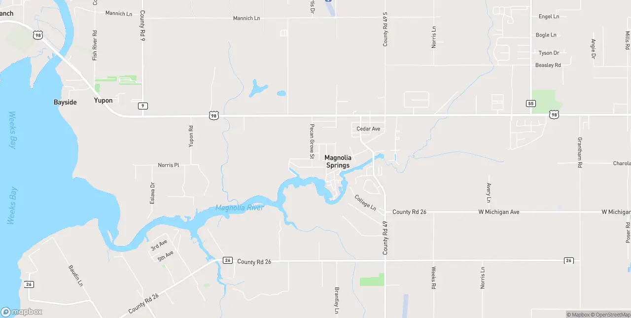 Internet in Magnolia Springs