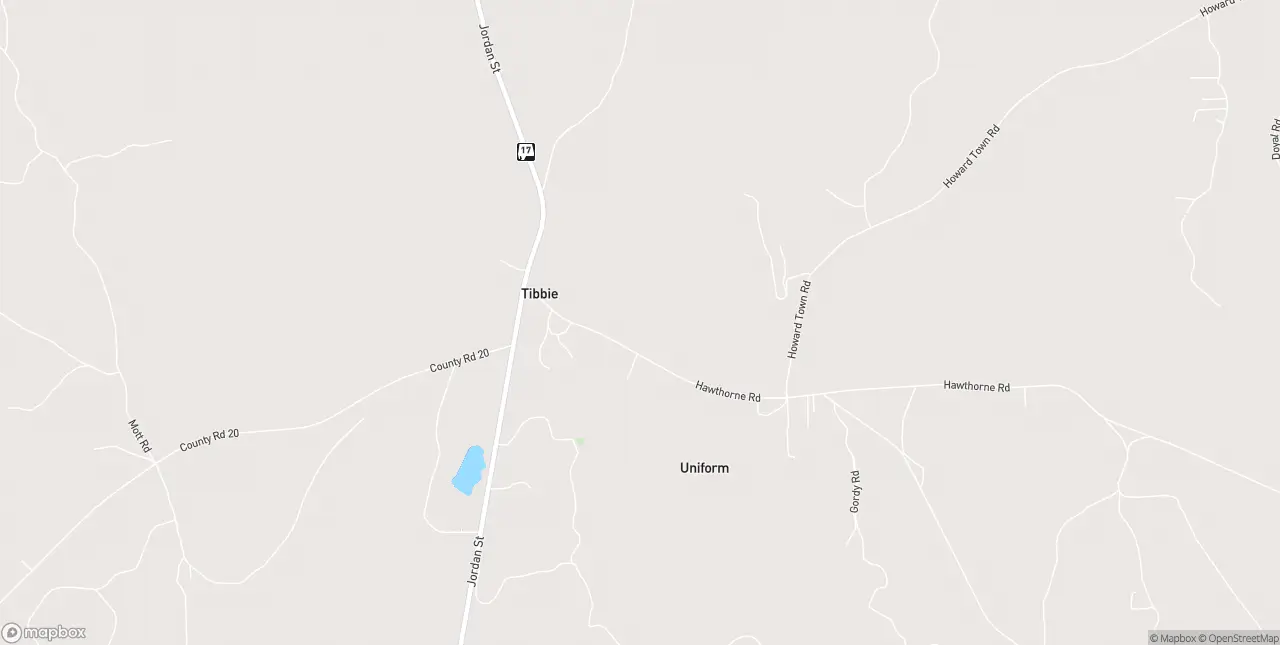 Internet in Tibbie