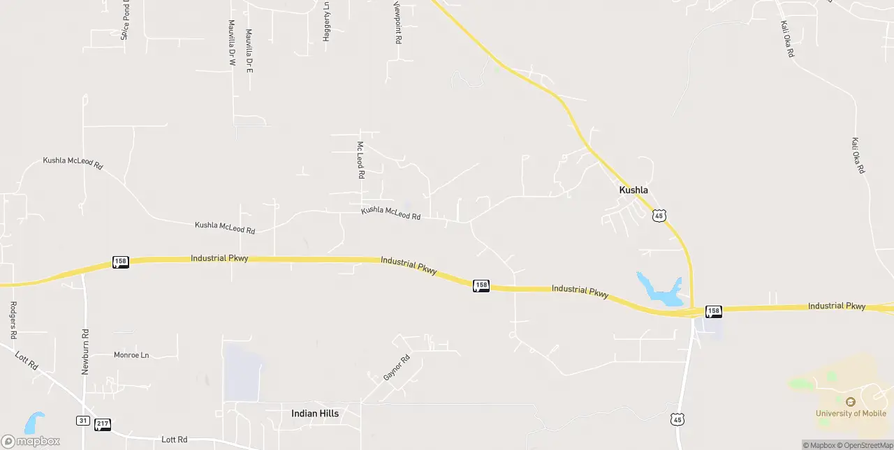 Internet in Eight Mile