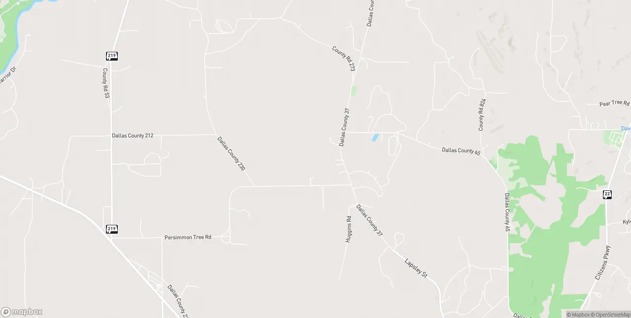 Internet in Selma