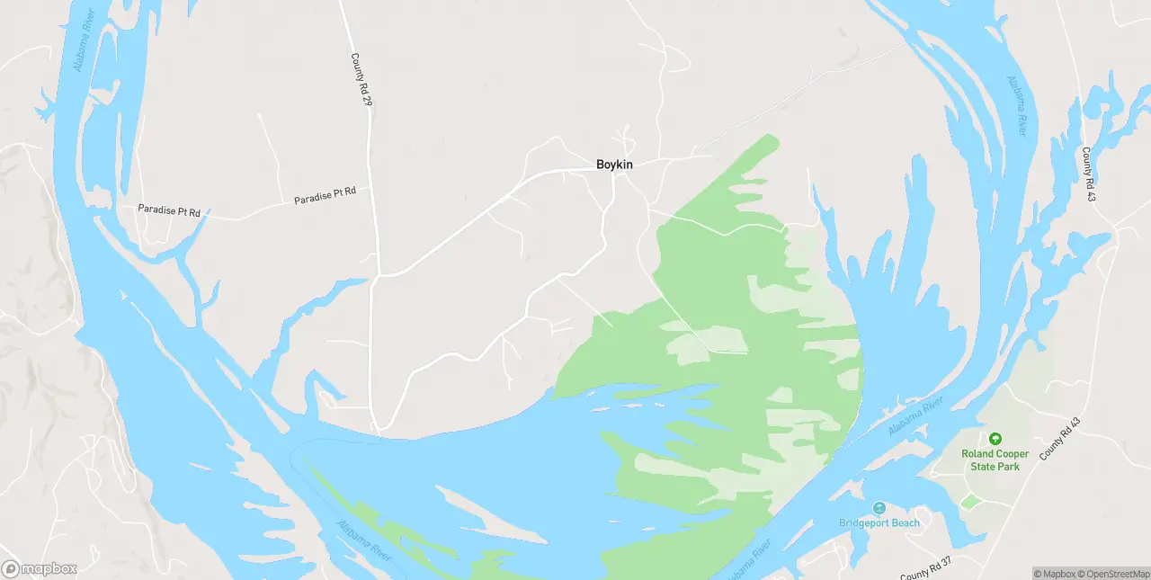 Internet in Boykin