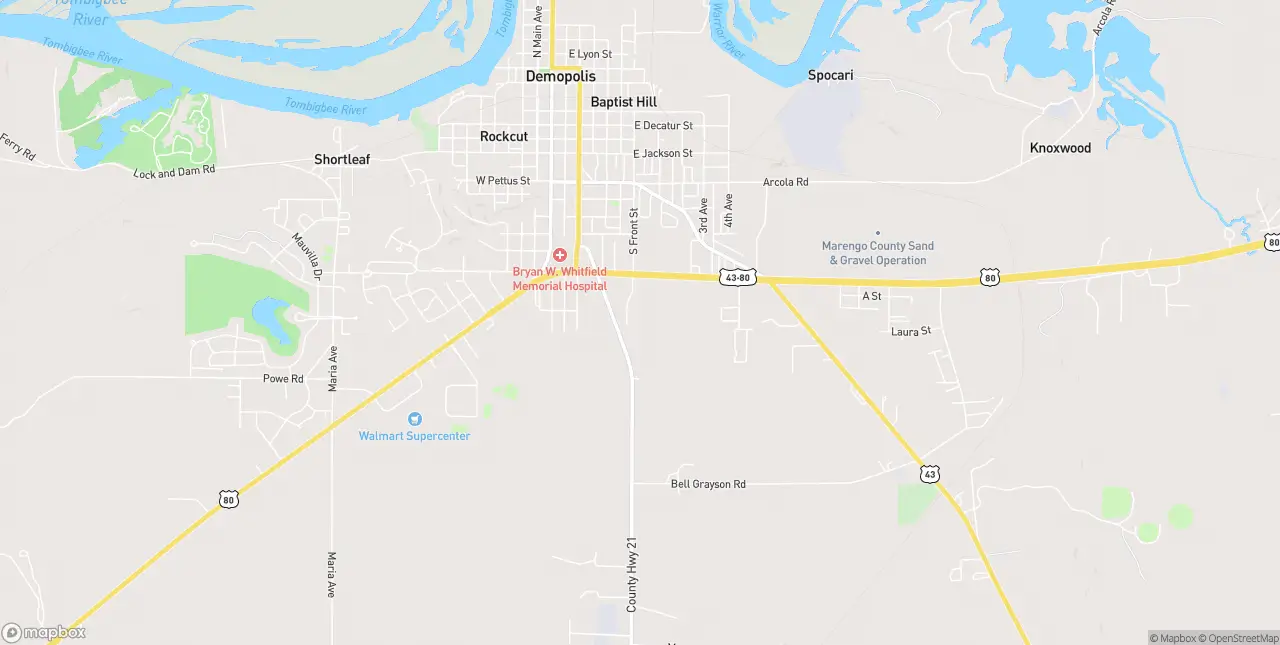 Internet in Demopolis