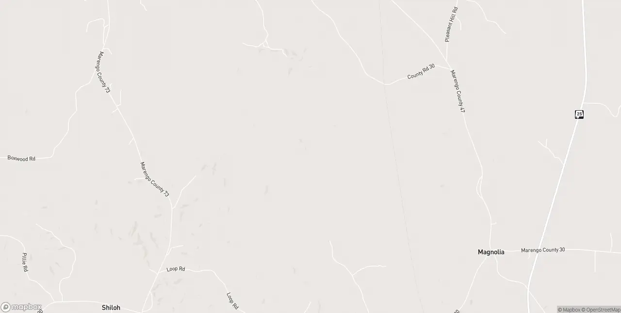 Internet in Magnolia