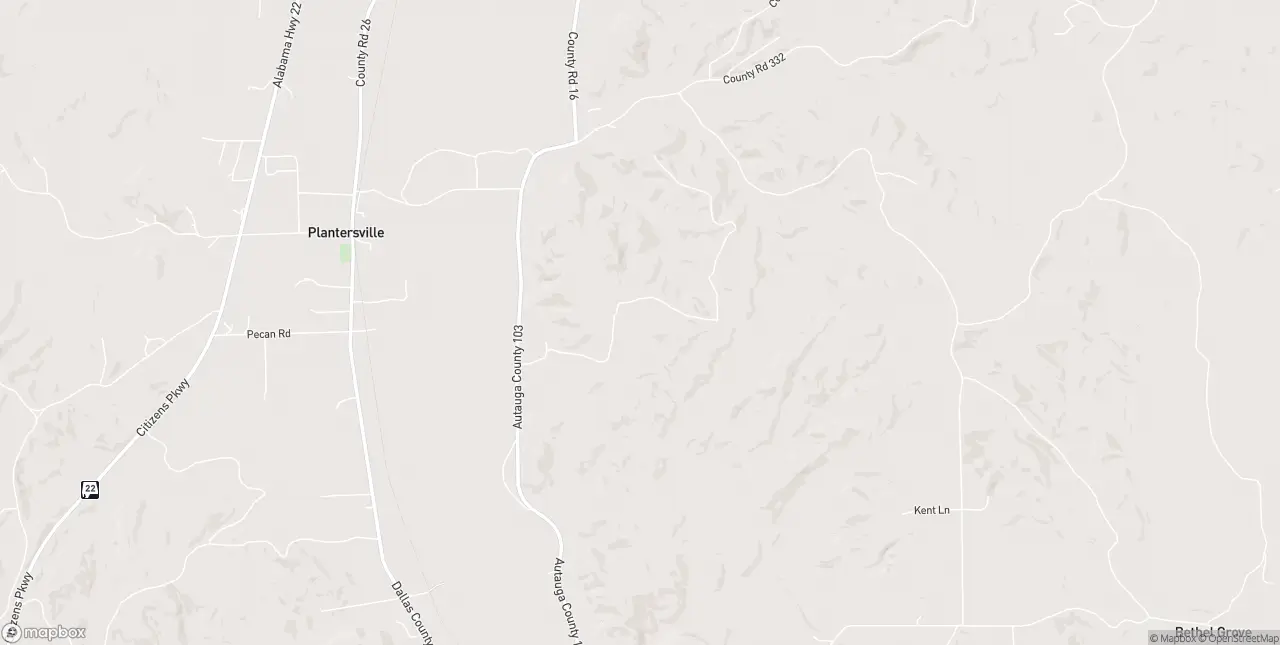 Internet in Plantersville