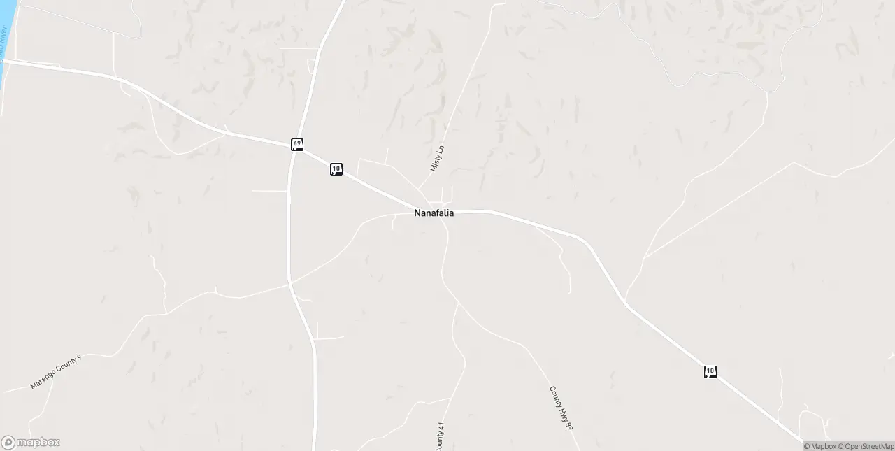 Internet in Nanafalia