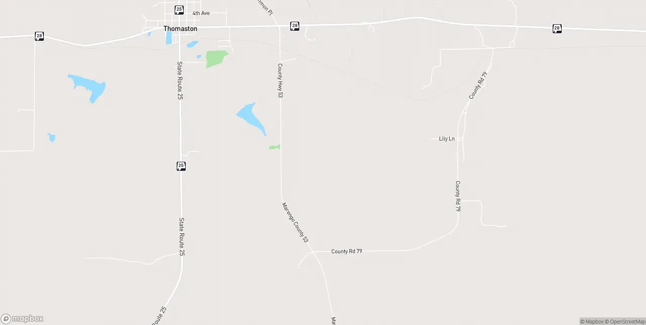 Internet in Thomaston