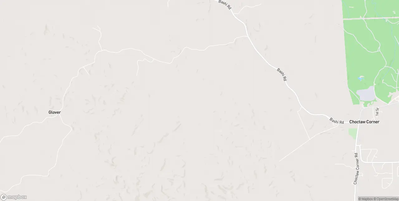 Internet in Thomasville