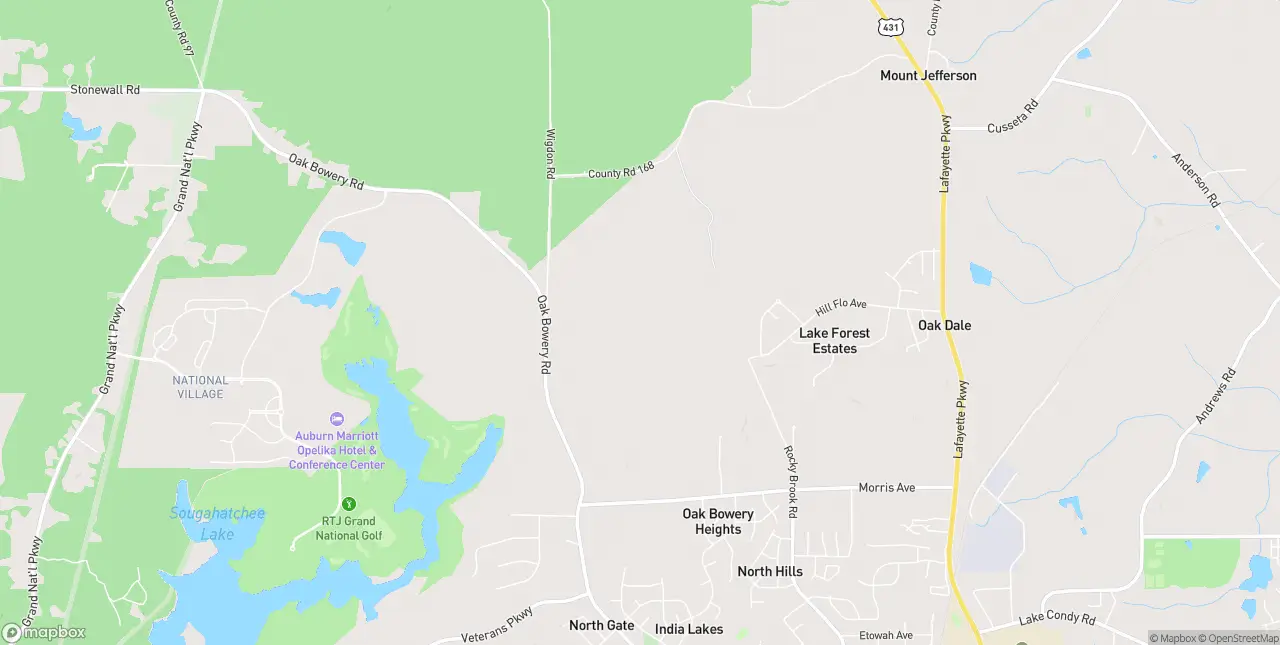 Internet in Opelika