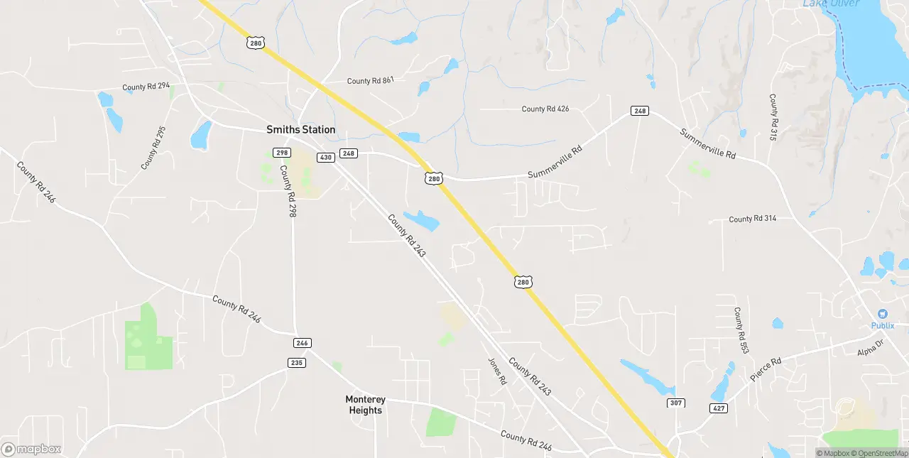 Internet in Smiths Station