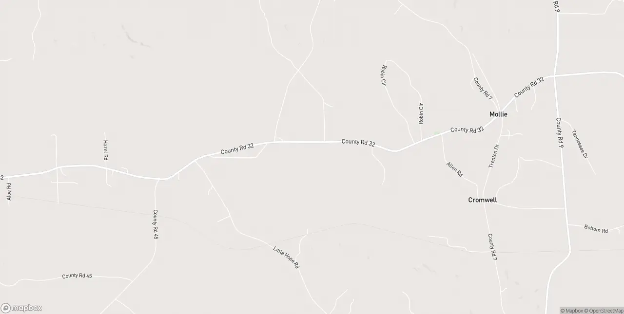 Internet in Lisman