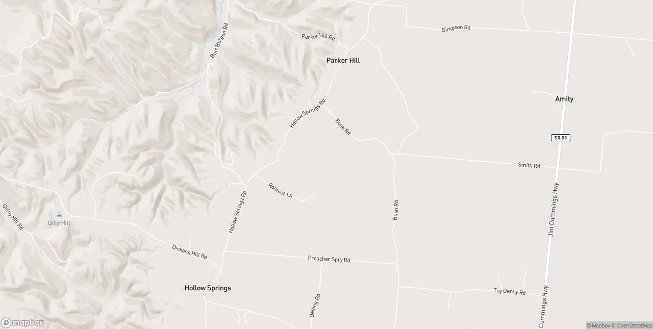 Internet in Bradyville