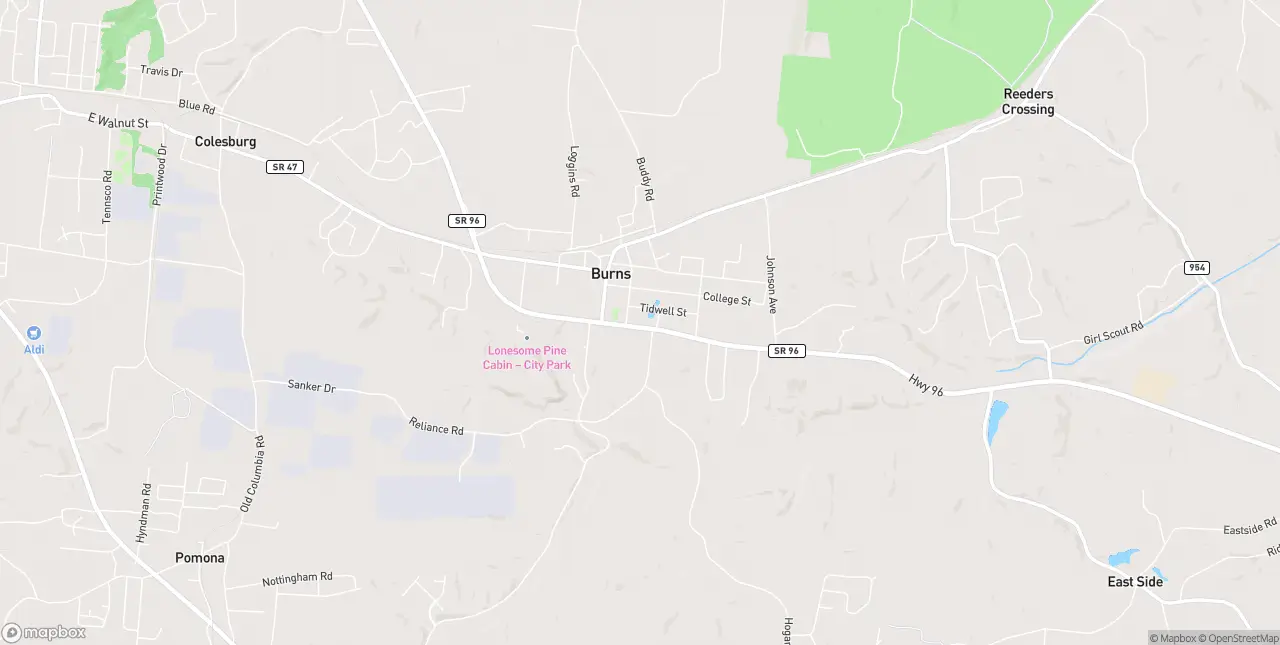 Internet in Burns