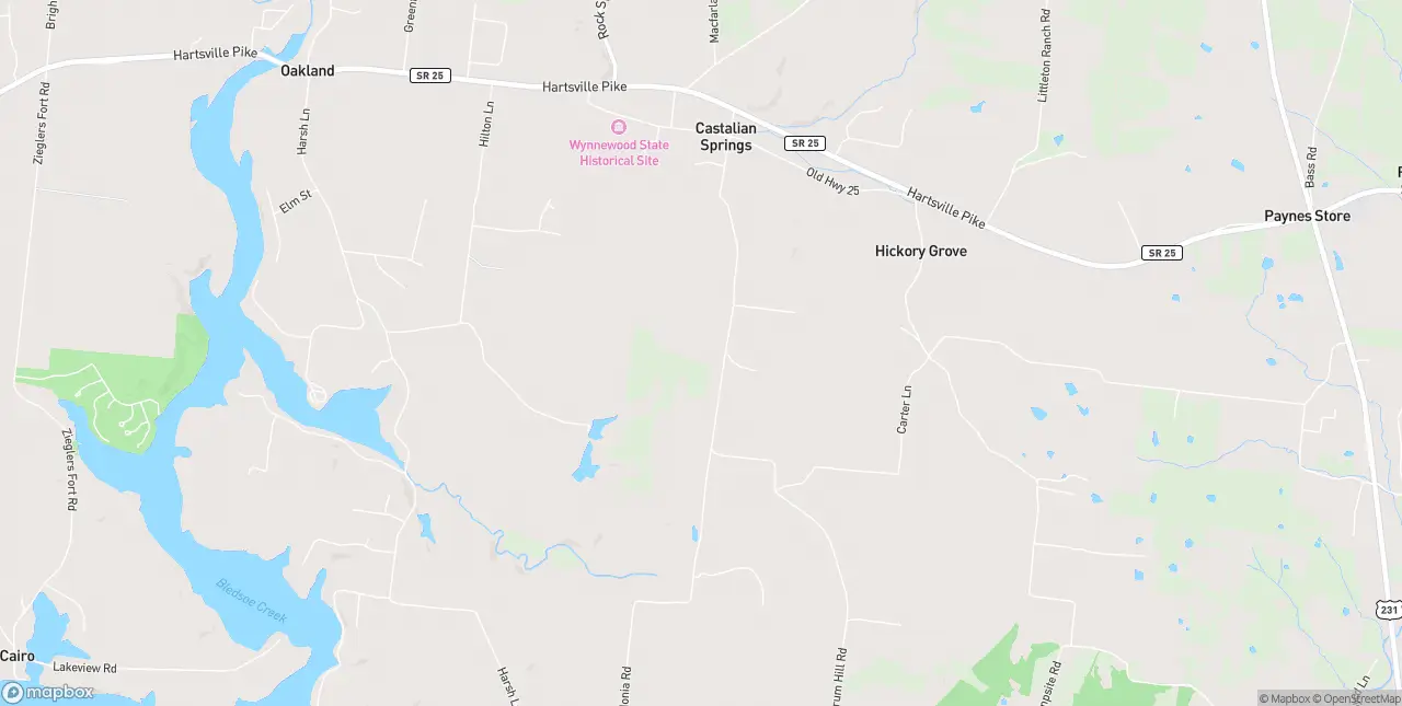 Internet in Castalian Springs