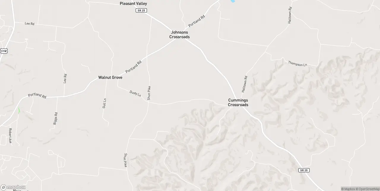 Internet in Cottontown