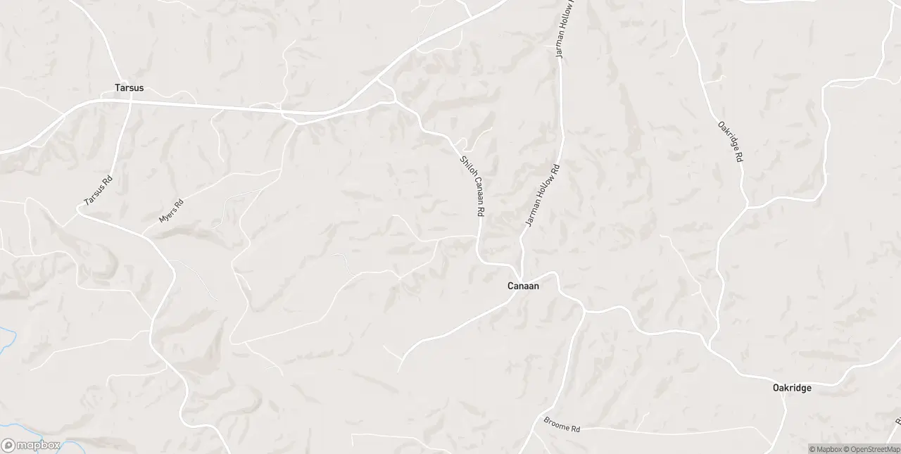 Internet in Palmyra