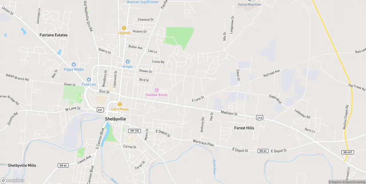 Internet in Shelbyville