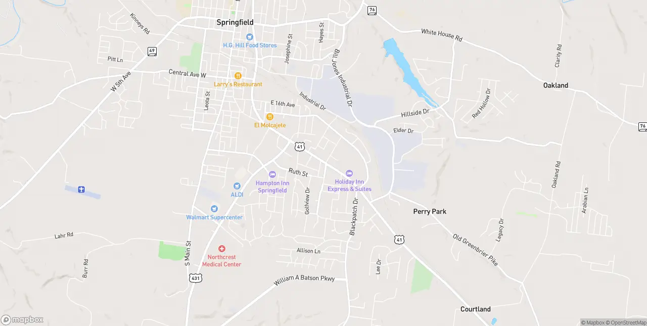 Internet in Springfield