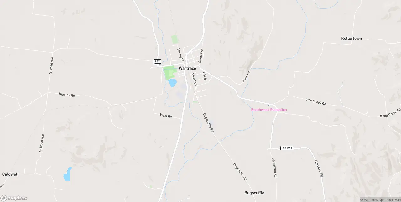 Internet in Wartrace