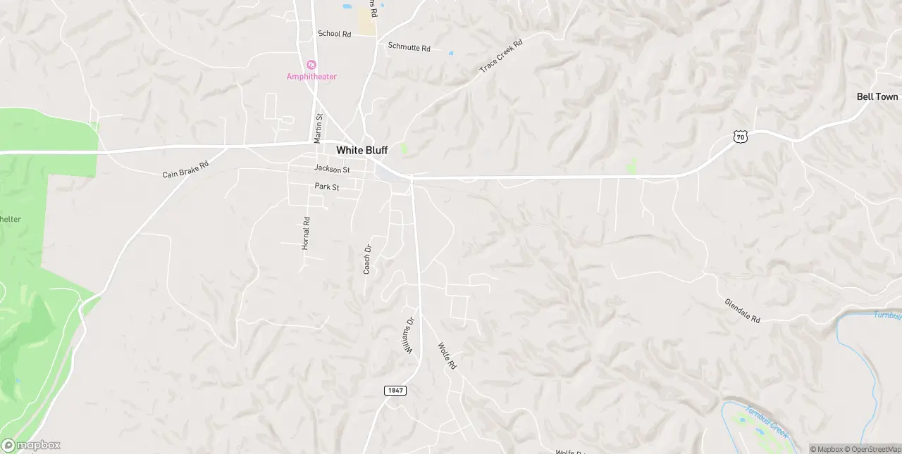 Internet in White Bluff