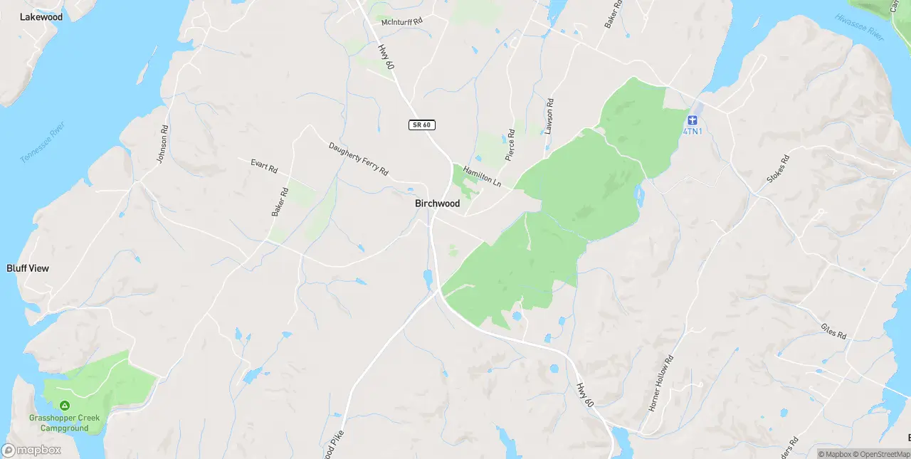 Internet in Birchwood