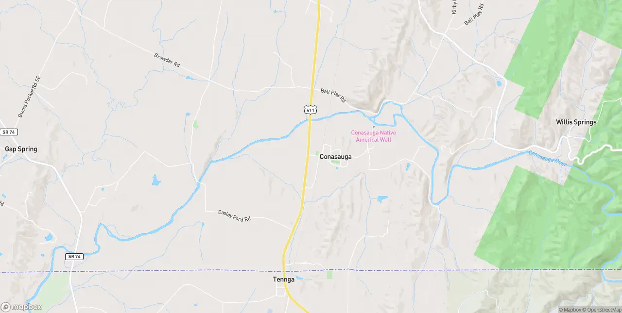 Internet in Conasauga