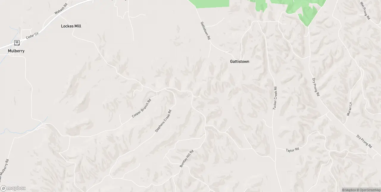 Internet in Mulberry