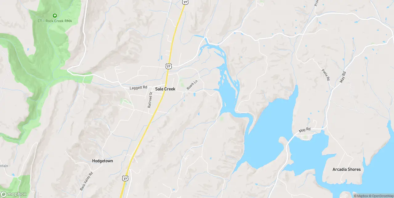 Internet in Sale Creek