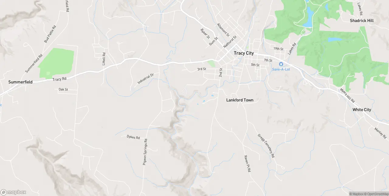 Internet in Tracy City