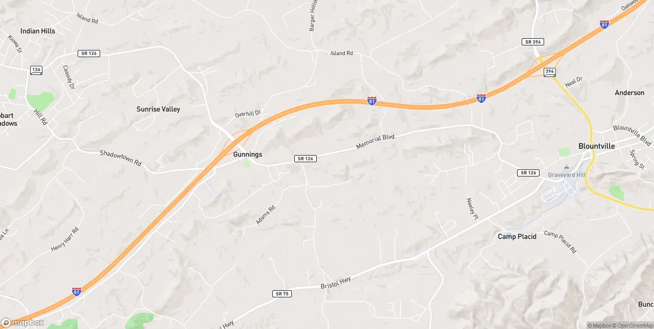Internet in Blountville