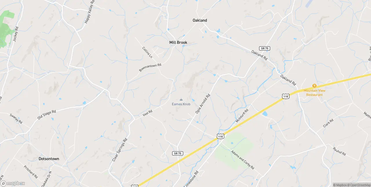 Internet in Limestone