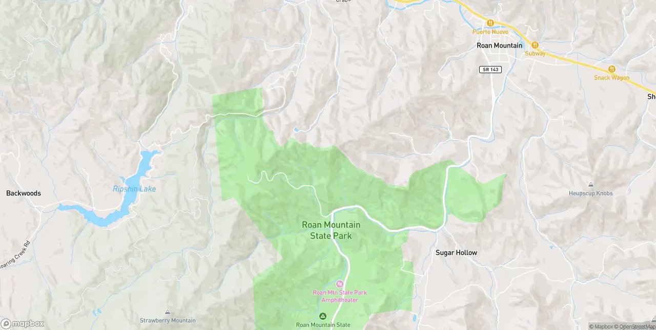 Internet in Roan Mountain