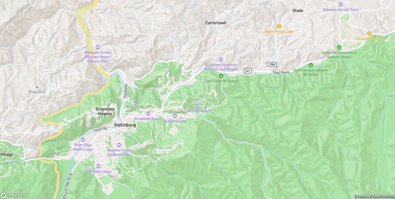 Internet in Gatlinburg