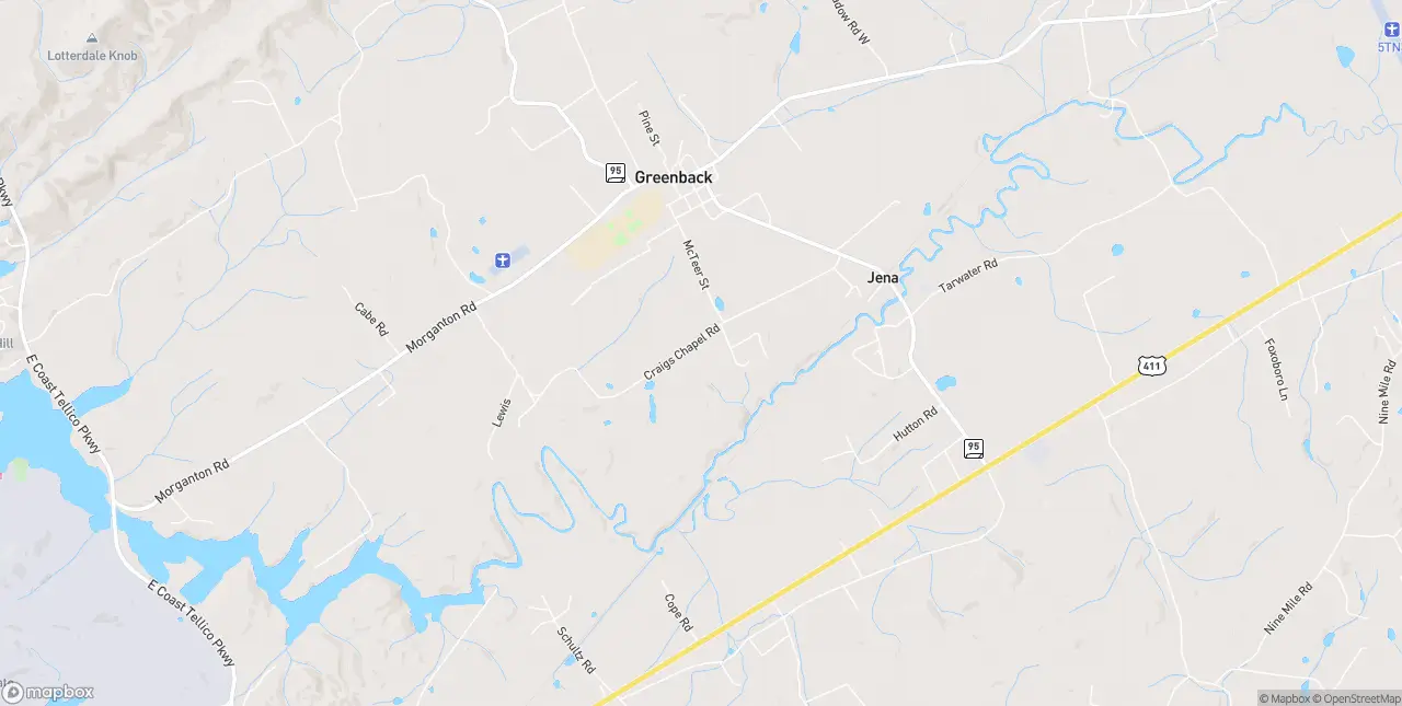 Internet in Greenback