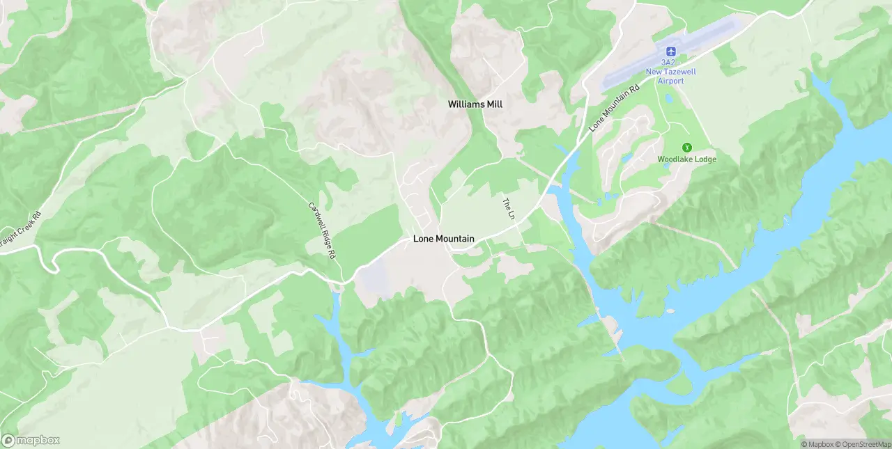 Internet in Lone Mountain