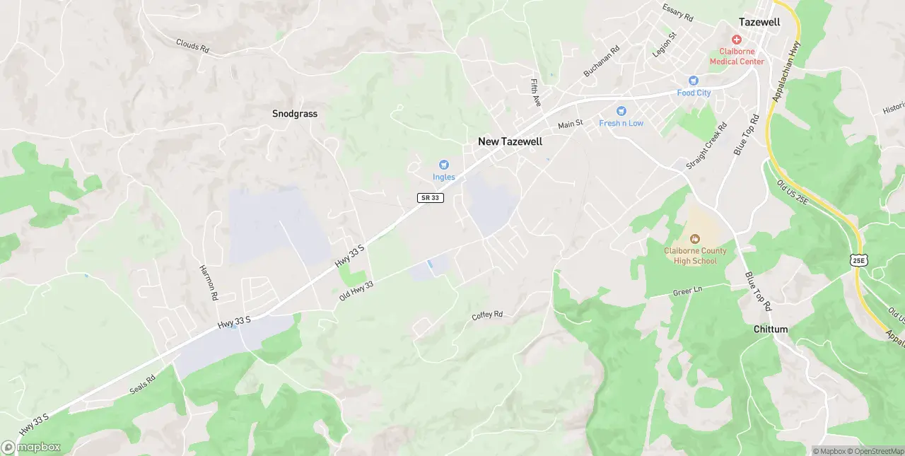 Internet in New Tazewell