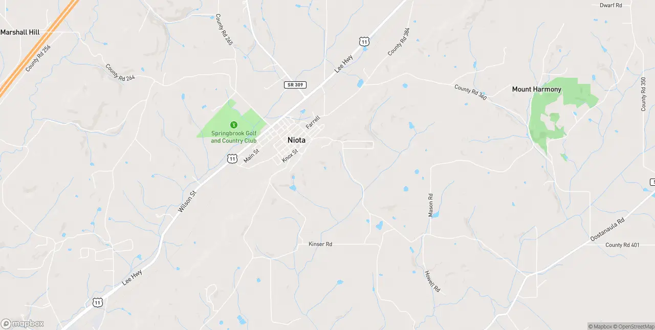 Internet in Niota