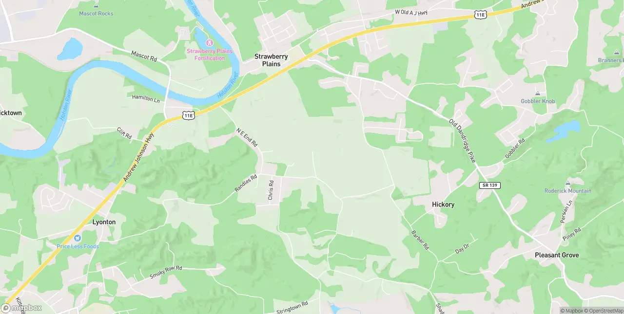 Internet in Strawberry Plains