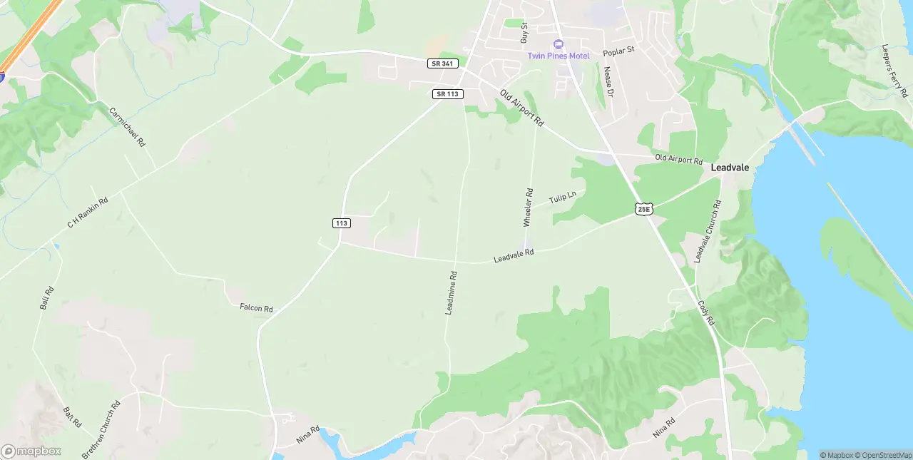 Internet in White Pine