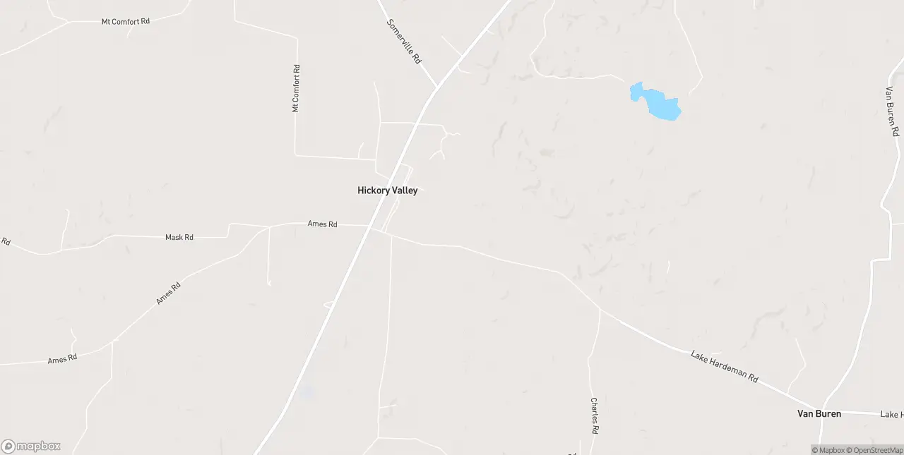 Internet in Hickory Valley