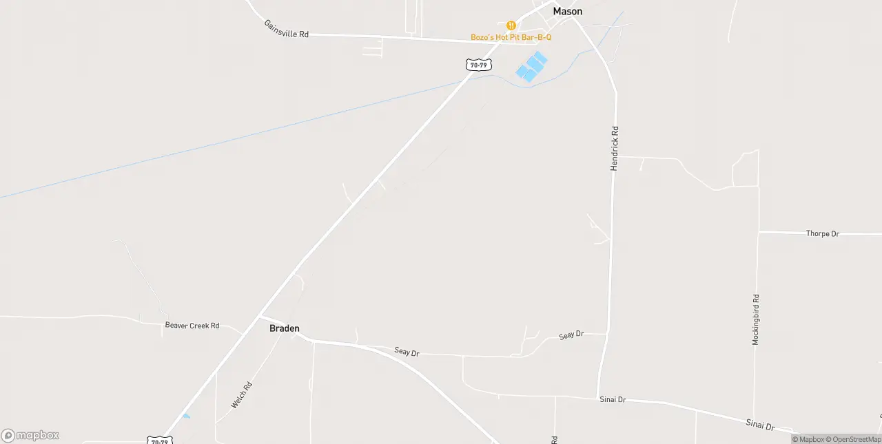 Internet in Mason