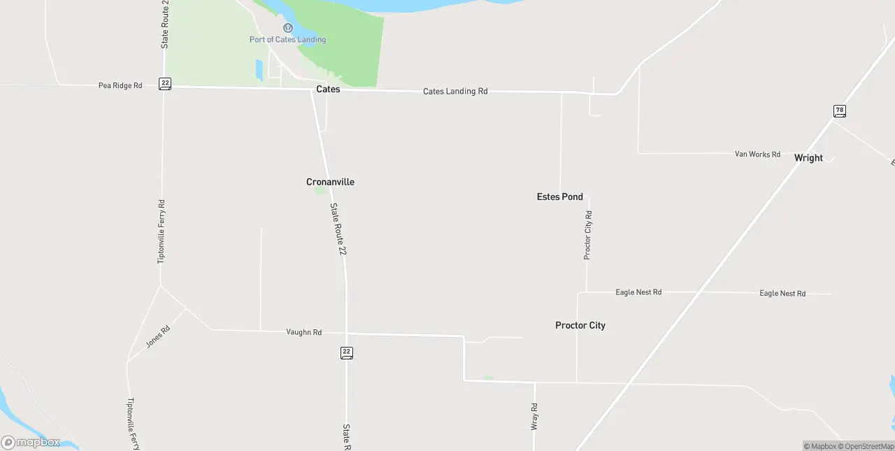 Internet in Tiptonville