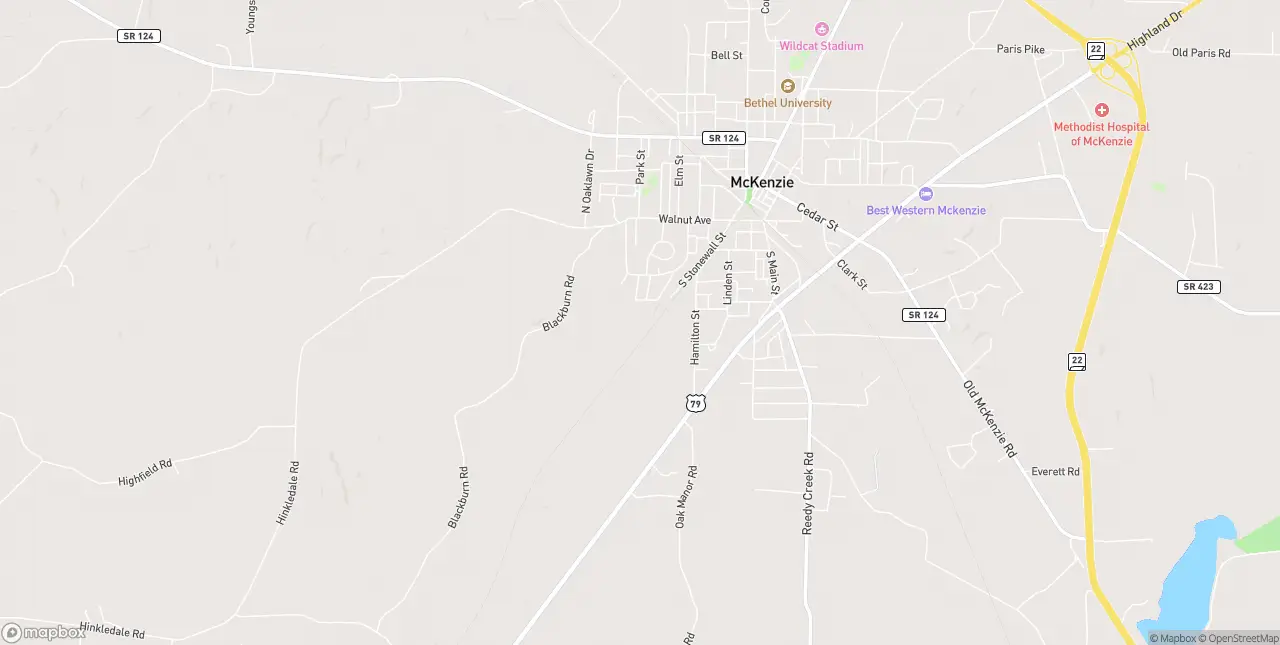Internet in Mckenzie