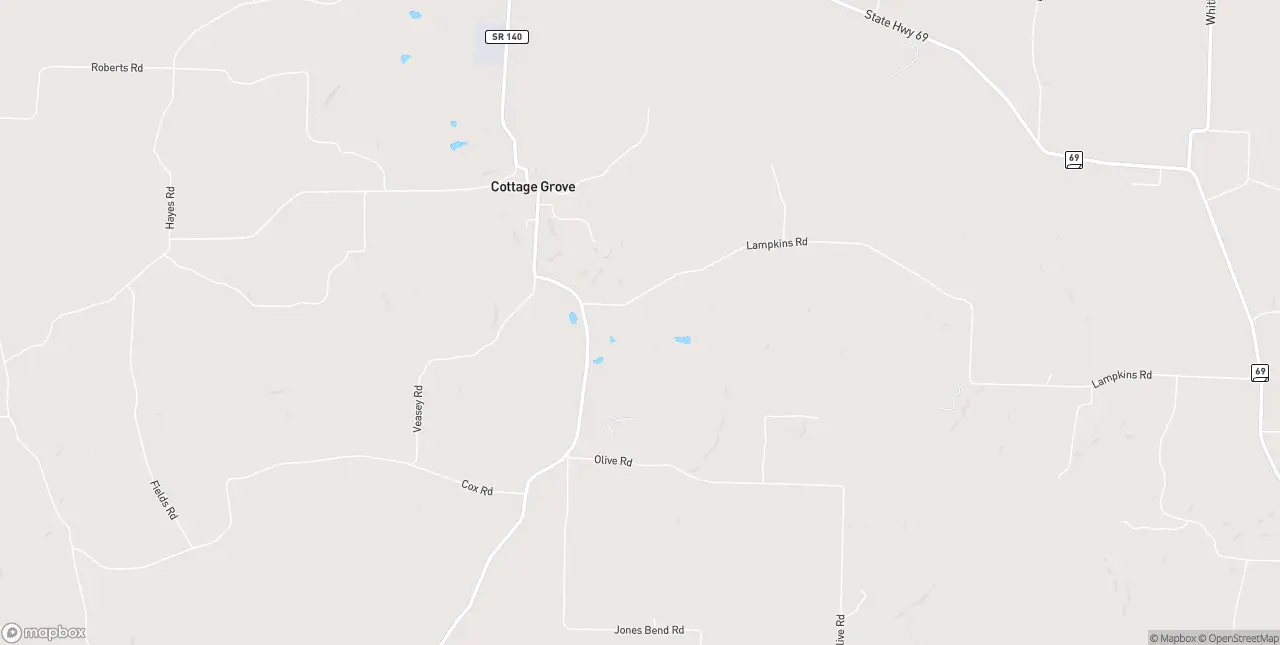Internet in Cottage Grove